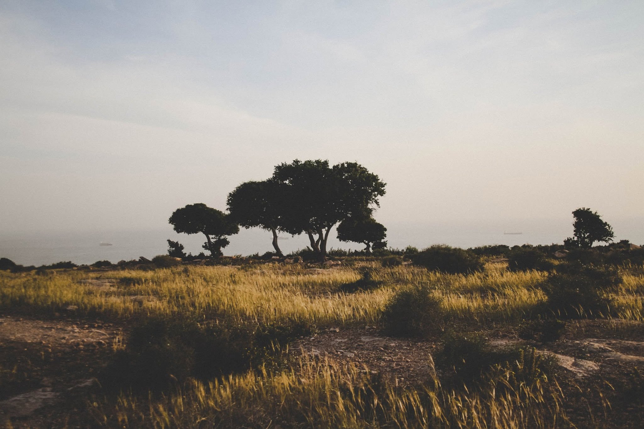 Local life with GoSurfNature in Morocco