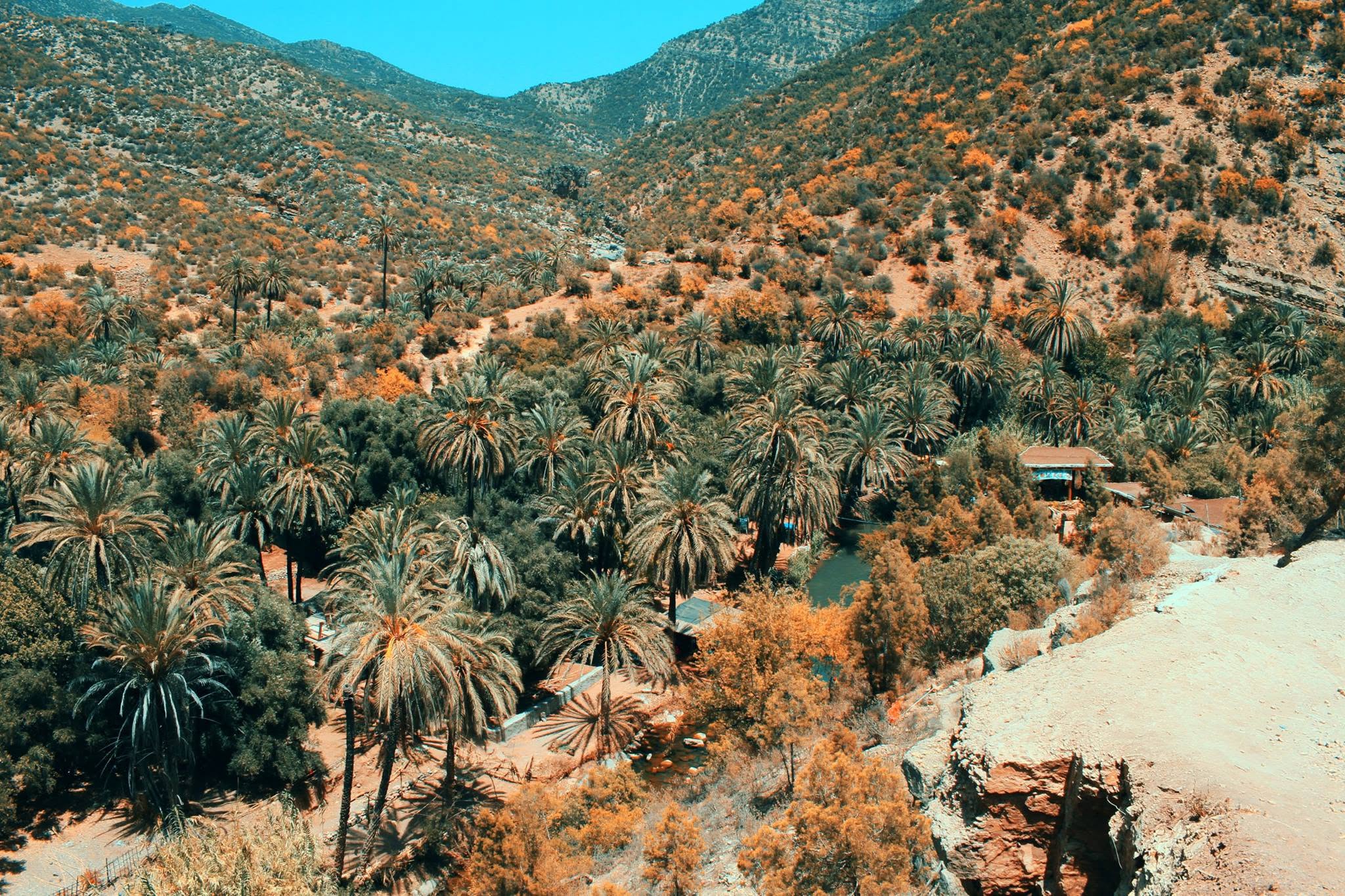 Surf and local culture on Morocco's Atlantic coast