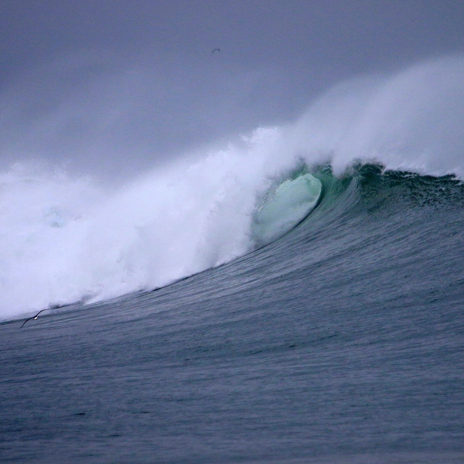 Intermediate Surf Session in Anza — 10