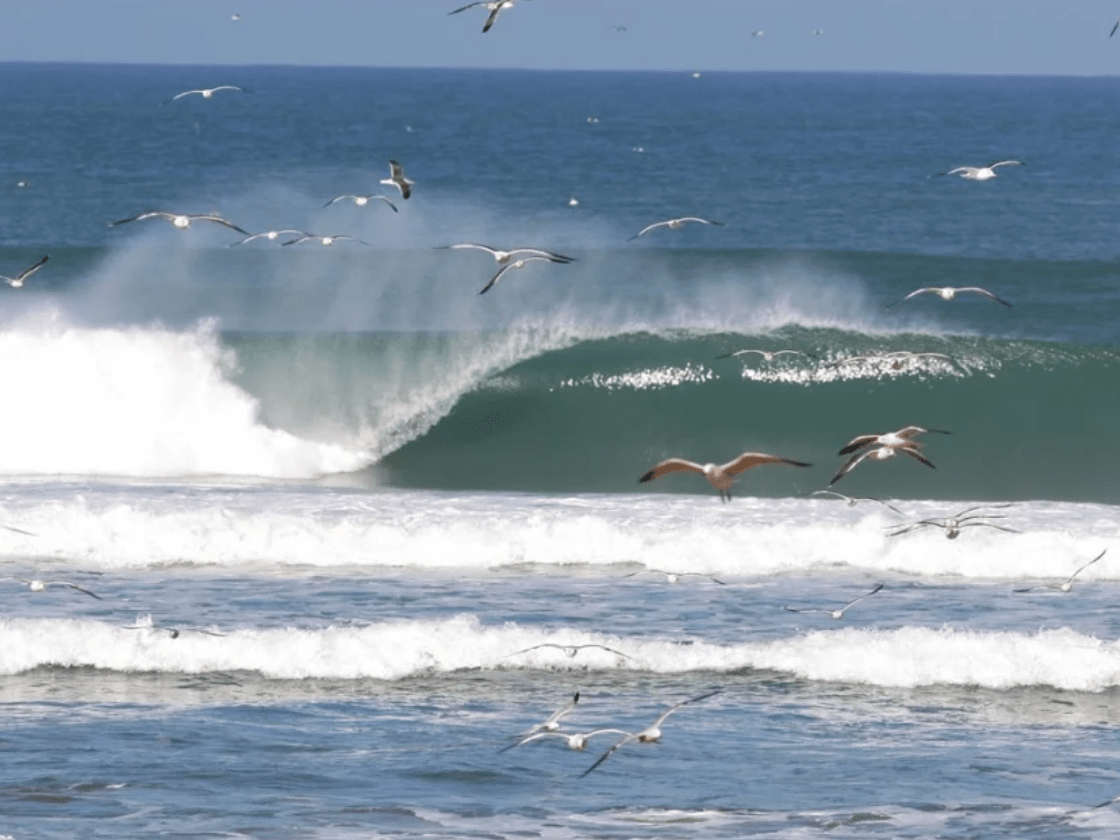 4-Day All-Inclusive Surf Experience experience 2